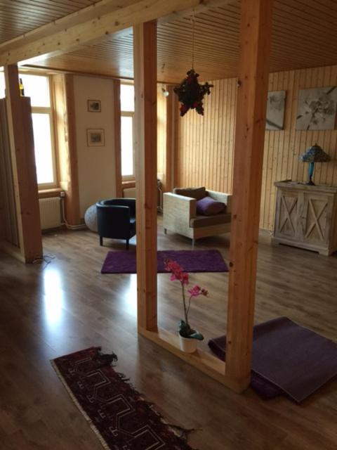 Hasli Lodge Мейринген Экстерьер фото